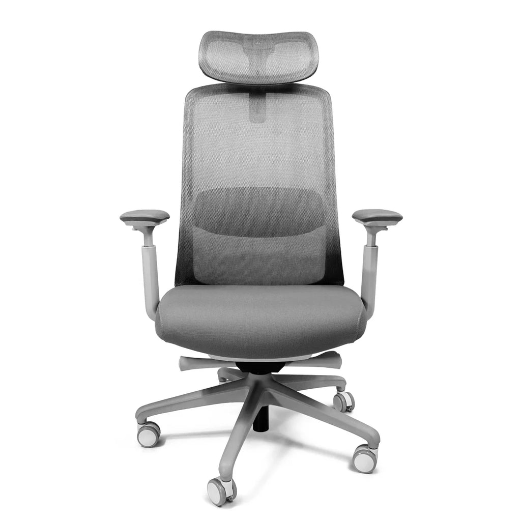 Silla Eco