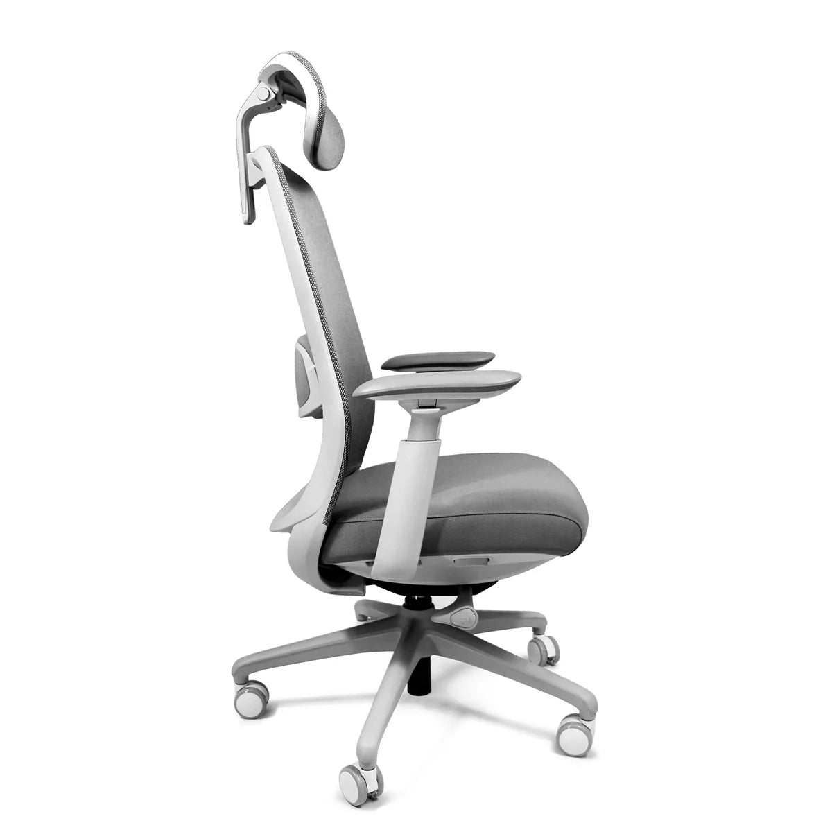 Silla Eco