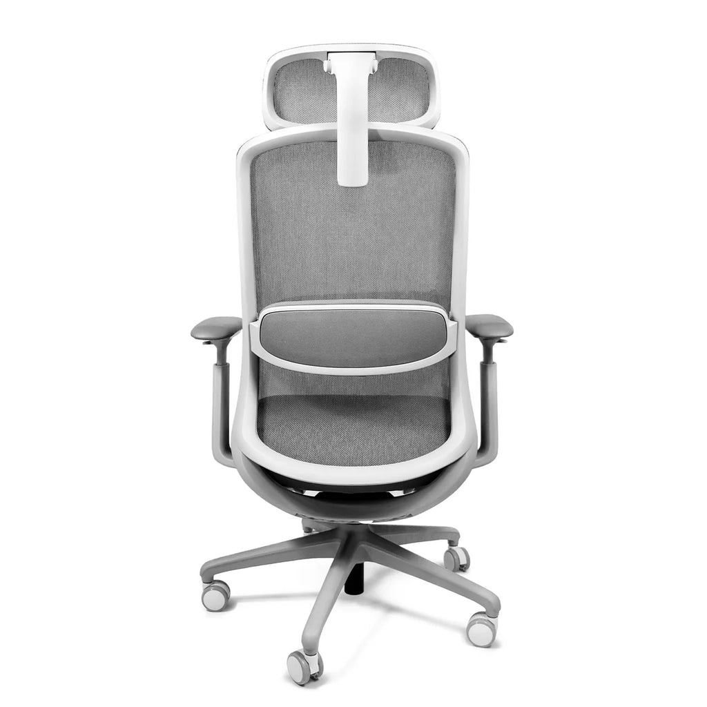 Silla Eco