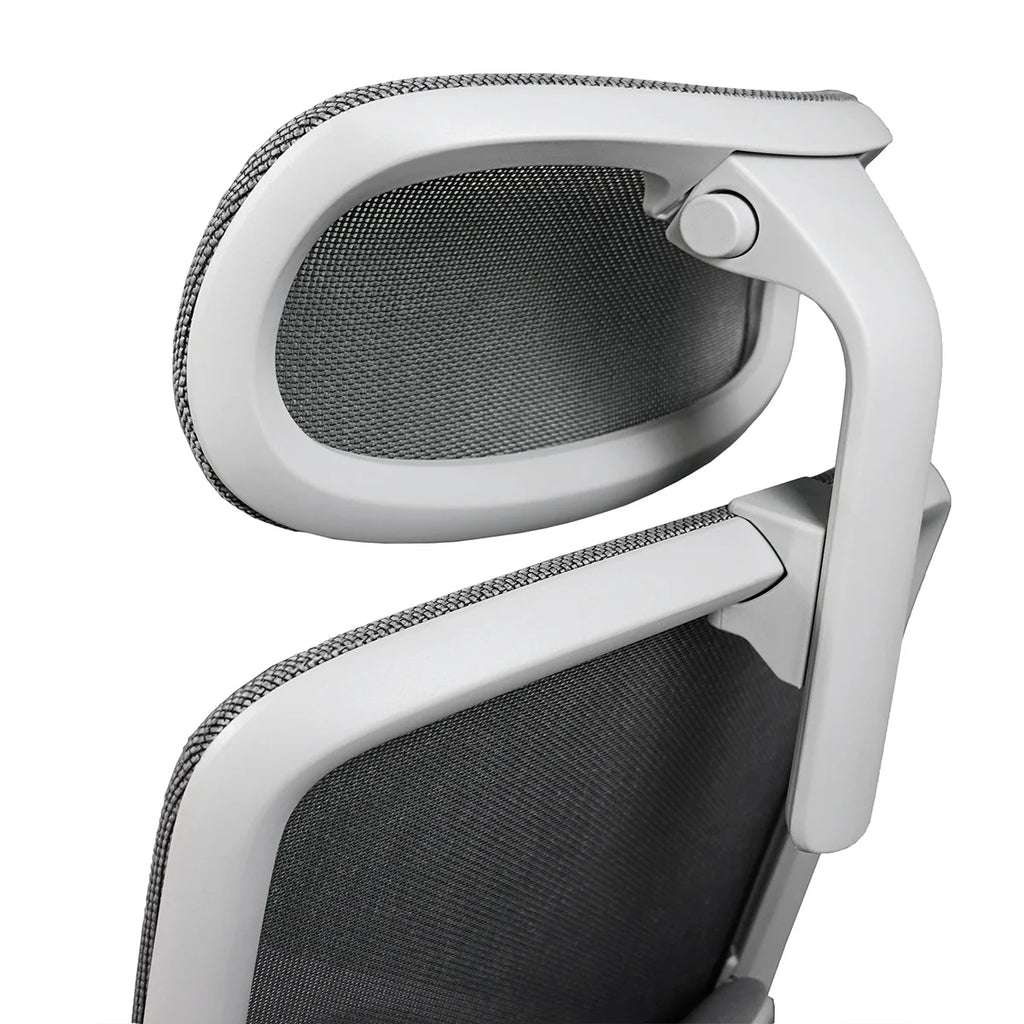 Silla Eco