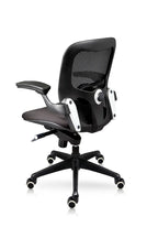 Silla Bond