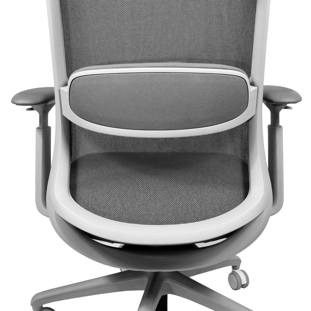 Silla Eco