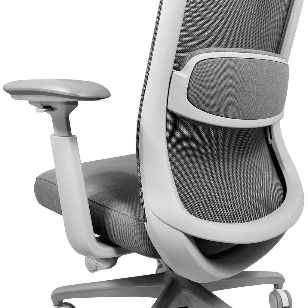 Silla Eco