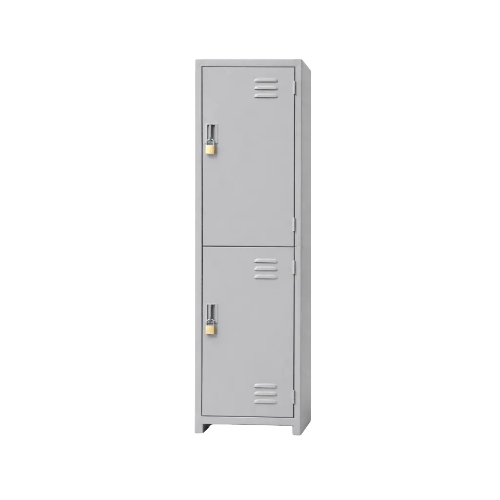 Locker 2 Puertas